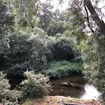 Paradisiaco Umia Konukevi Meis