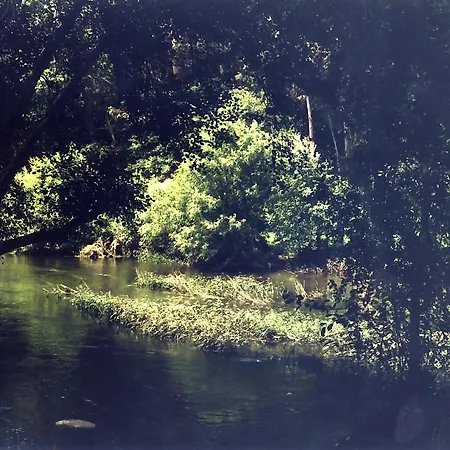 Paradisiaco Umia 2* Meis