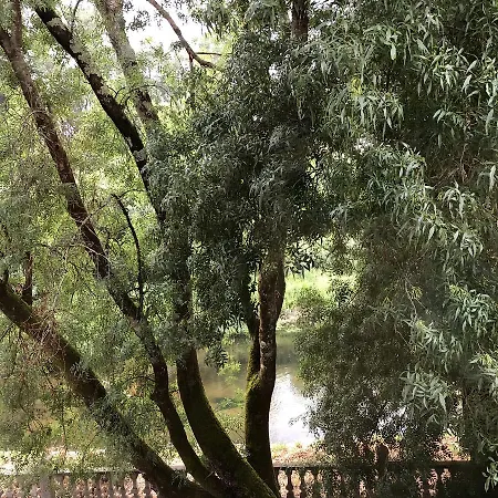 Casa de hóspedes Paradisiaco Umia Meis